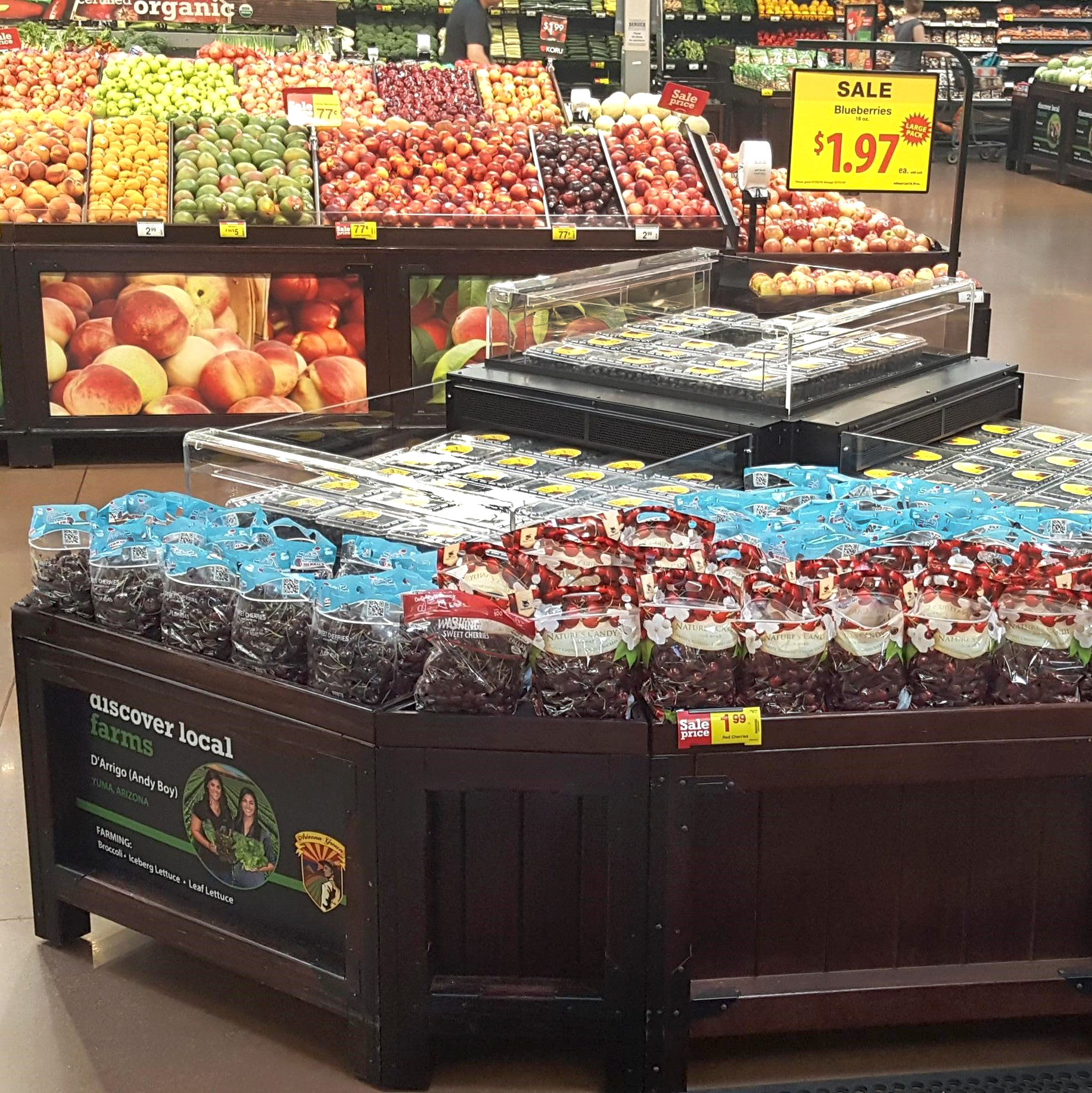 Refrigerated Orchard Bins Gallery